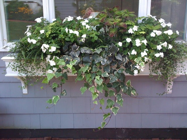 Cape Cod Outside Spaces traditional landscape