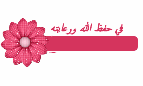 رفوف مكتبيه باشكال غريبه 2015 , رفوف جميله للكتب 2015 , رفوف مكتبيه بتصاميم مختلفه