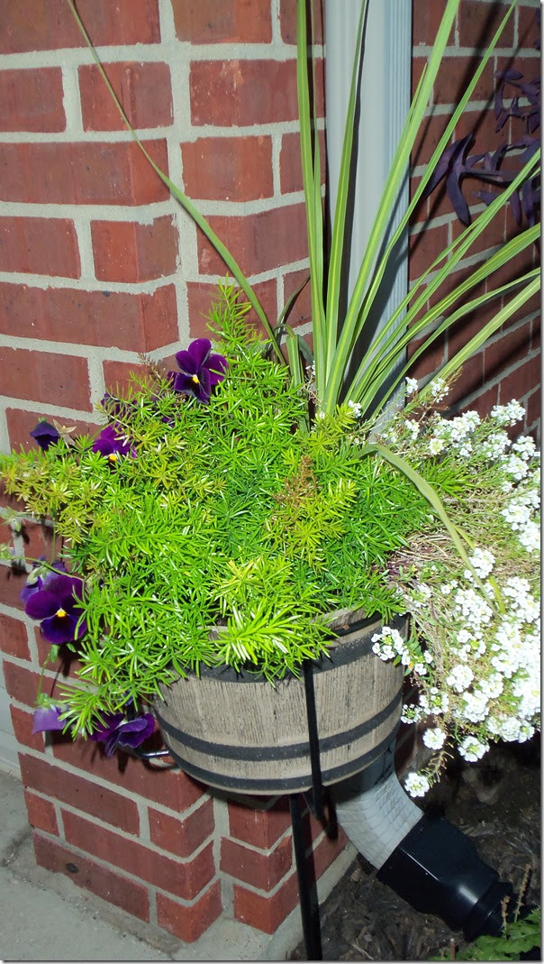 08-06-2017 GW14 (32)