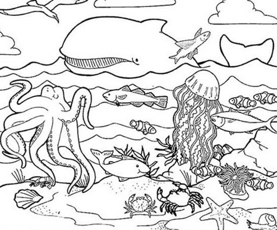 Download Under the sea coloring pages to download and print for free