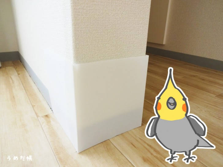 壁を齧るから困る 100円でカンタンに作れる壁ガード うめだ帳