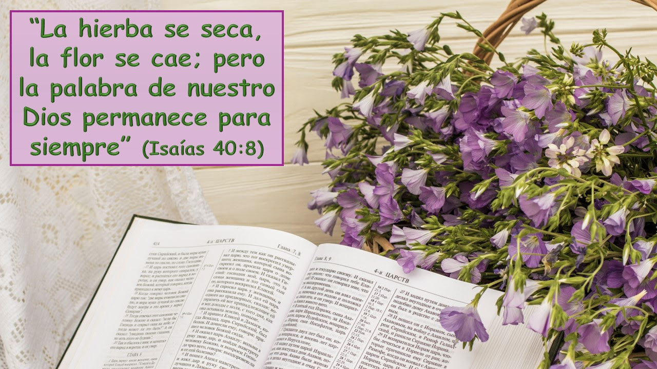 Versículo de memoria, lección 6