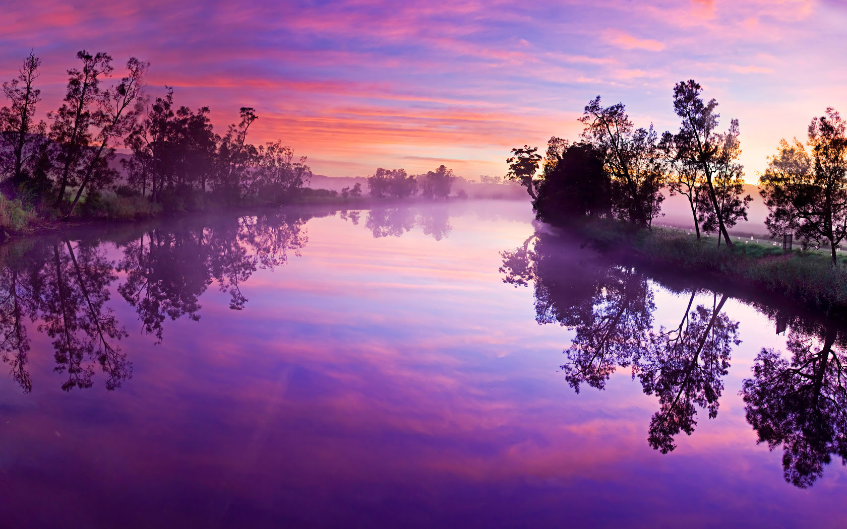Purple Nature Wallpaper - WallpaperSafari