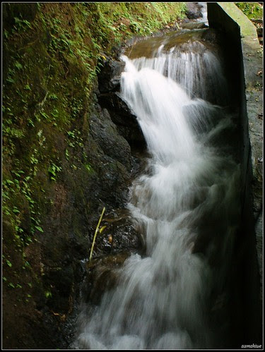 DSC05411