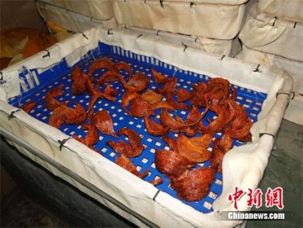 'Chế' yến sào thành… yến huyết thượng hạng - 2