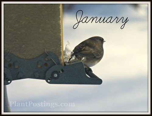 January