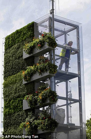 A gardener works in the B&Q Garden in preparation for the Chelsea Flower Show