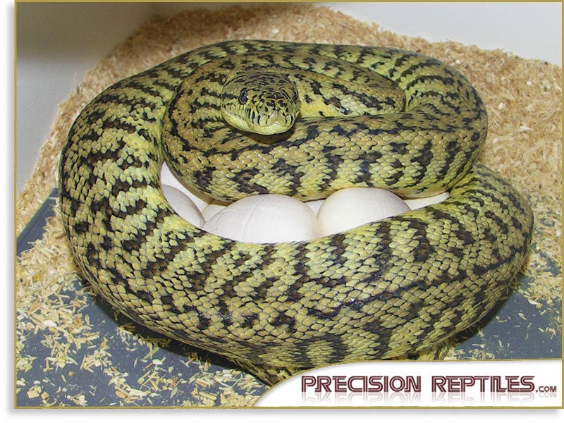 mortal kombat 2011 characters list. mortal kombat 2011 characters