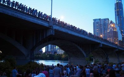 A Date with the Bats of Austin Texas