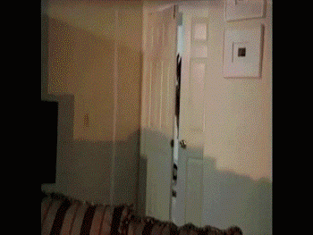 obscurus lupa - eyes of the werewolf burst into the room GIF
