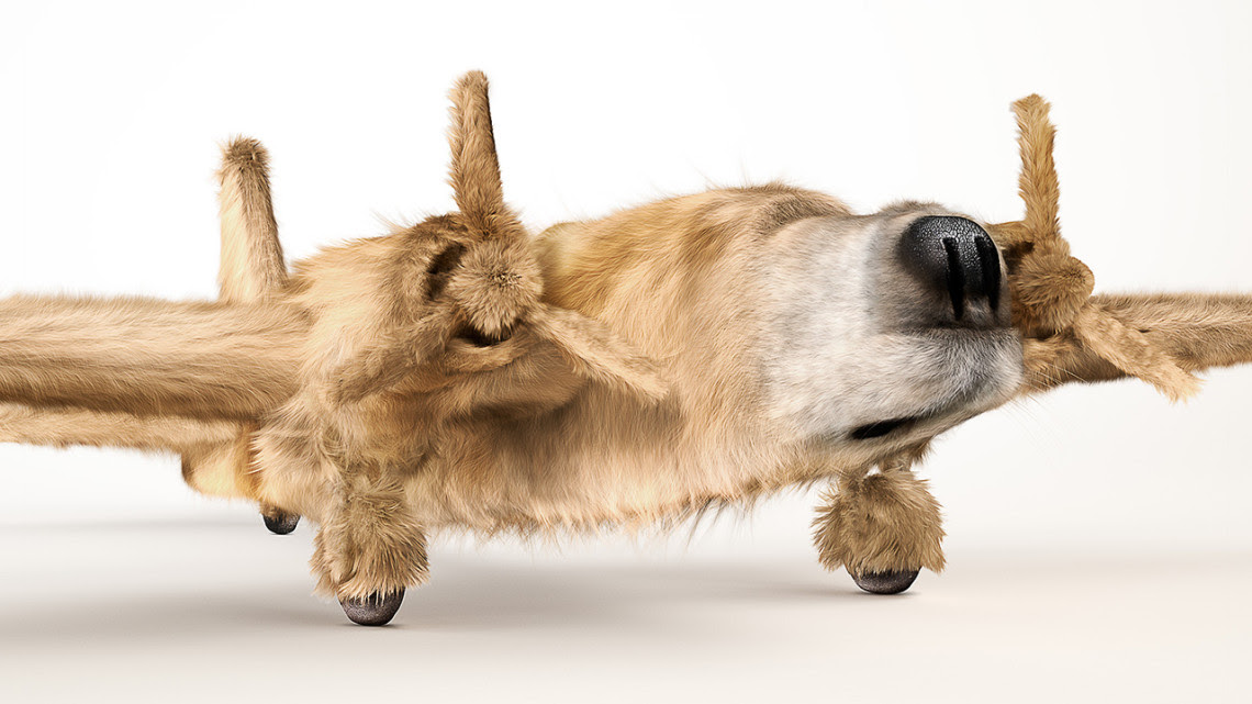 Dogfighters, Illustrations Combine Dogs and Planes into Bizarre Mashups