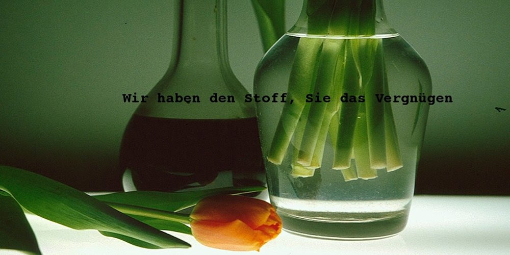 Acta Litterarum – Literatur im Netz