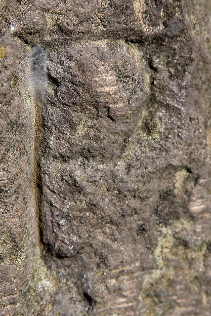 Stark Street Milestone P7