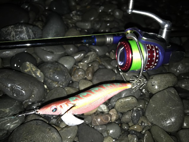エギングのpeライン リーダーの太さや長さの選び方 糸で釣果が変わる 六畳一間の狼ブログ
