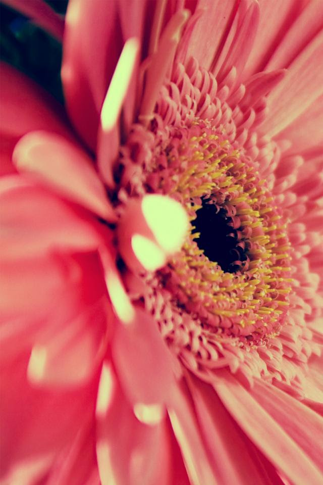 全iphone Ipadの壁紙 Rose Gold 4枚リリースしました Ios