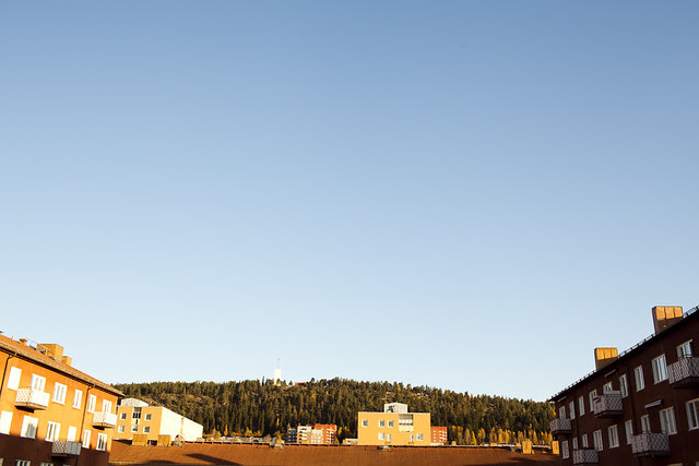 fall in sundsvall