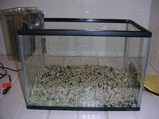 海底300ミリメートル 実践編12