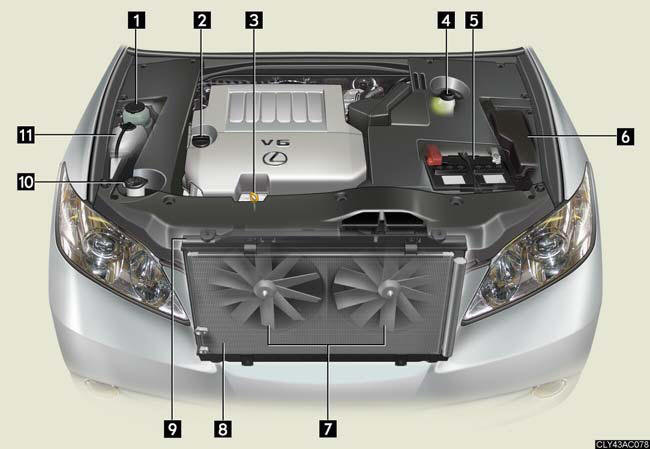 Engine Compartment Do It Yourself Maintenance Maintenance And Care Lexus Es 350 User Manual Lexus Es Lexus Manuals