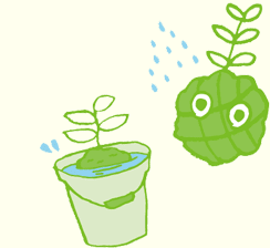 こけだま 苔玉 を育てよう 苔玉 こけだま 作り ココロを育む みどりのともだちプロジェクト