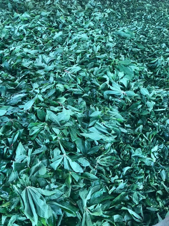 Lá khoai mì là món ăn truyền thống của người Hồi giáo