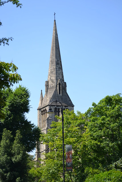 DSC_7250