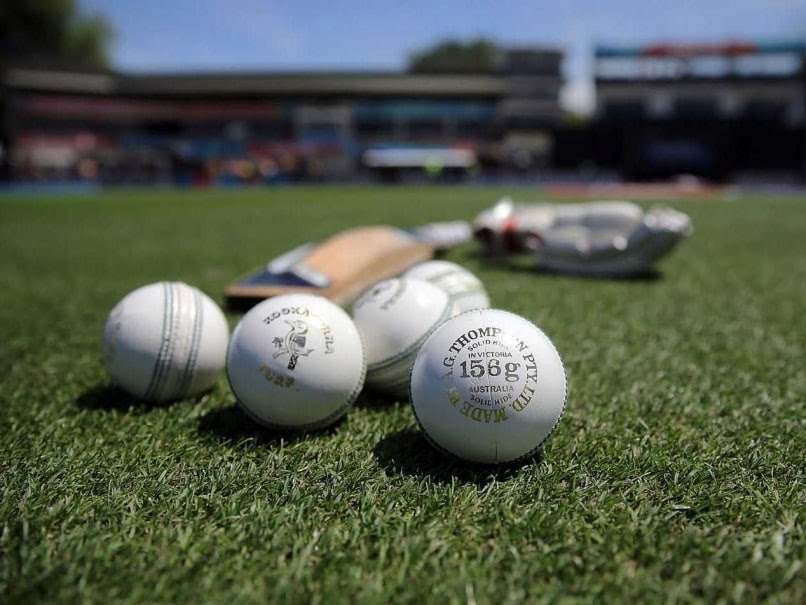Cricket generic getty