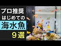 [新しいコレクション] 魚 飼育 簡単 655432