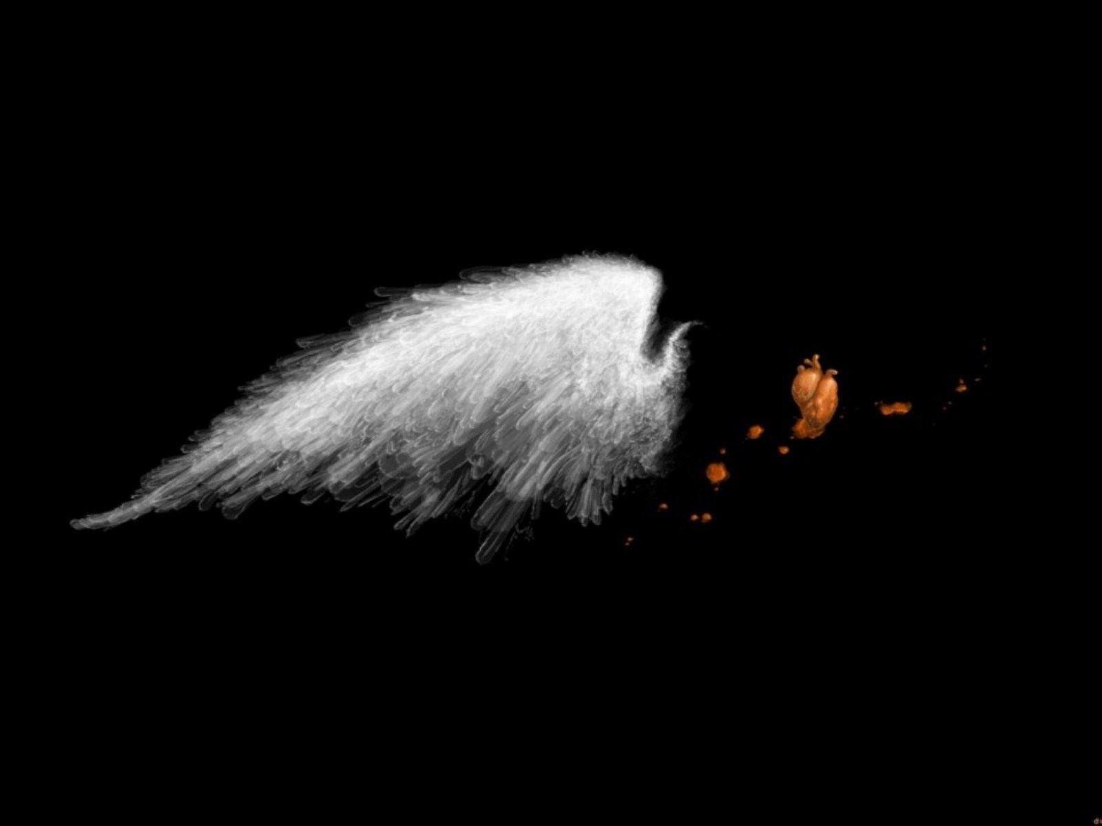 Cool Black Backgrounds - Wallpaper Cave