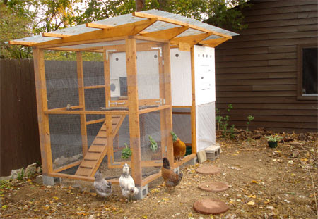 Chicken Coops