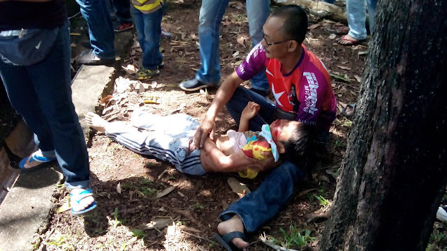 14434995_1529054707120665_20455808707235