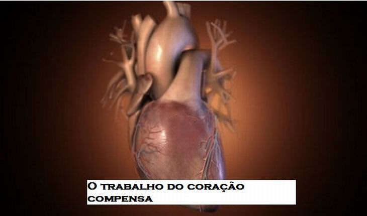 25 curiosidades sobre o coração humano