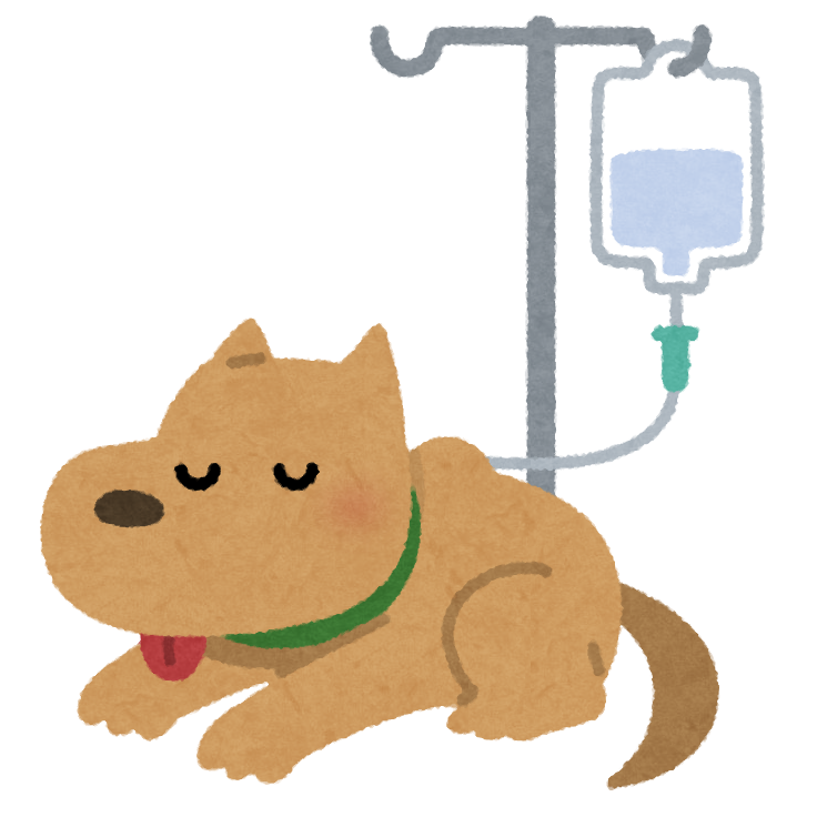 犬はさくらんぼを食べても良い 種の成分 アミグダリン に要注意