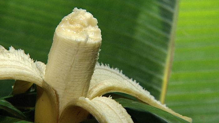 31.10.2012 DW Fit und Gesund Banane