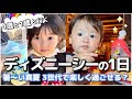 ディズニー 4 歳 129461-4 歳�� 合奏曲 ディズニー