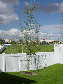 DSC05012