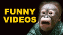 Funny Videos