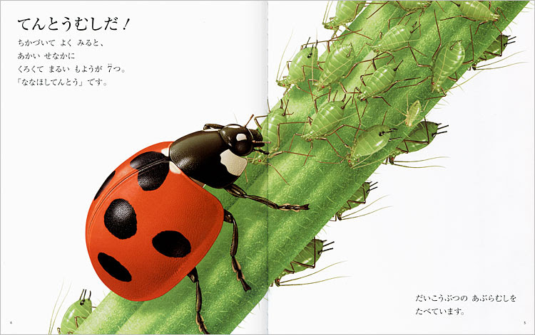 絵本 てんとうむし