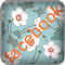 FB2button