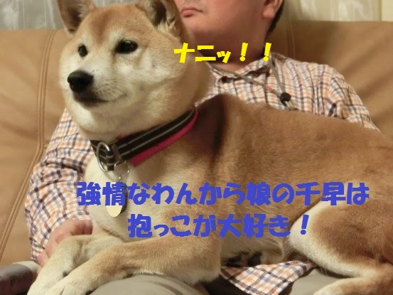 わんから娘の好きな事 たっぷり家