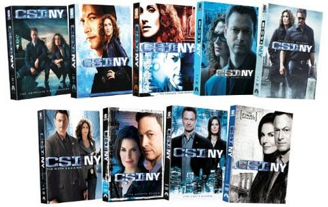 CSI: NY DVD Set