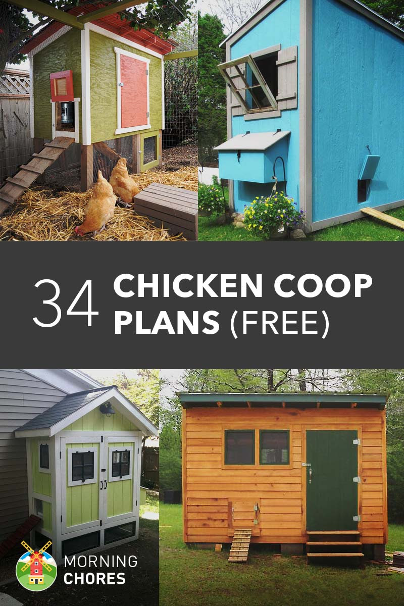 34 DIY Chicken Coop Plans &amp; Ideas that are Easy to Build (100% Free)