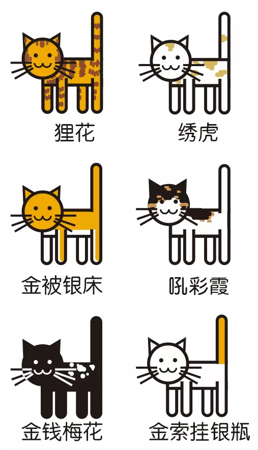 乌云盖雪 看看 你的猫名也可以那么文艺 生活资讯 娱乐新闻网