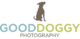 The Dog Spaw of Little Silver - Links to Places & Resources We Like