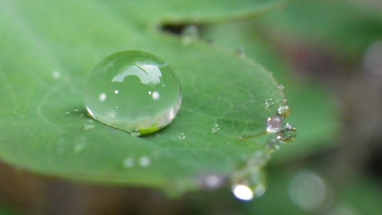 春の雨 整備士たむちゃんのブログ