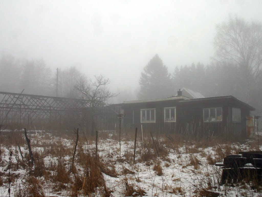 Abandoned Plant Nursery