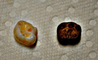 Top 20 Latest Surprising Uses of Coca Cola Soft Drink