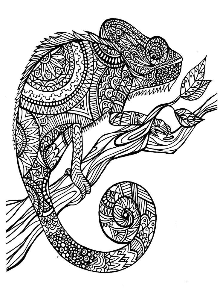 Download Animal Design Coloring Pages - Coloring Home
