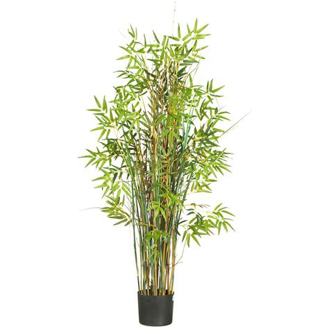 The base of a large tree can be beau. 5 foot Bamboo Grass: Potted | 6569