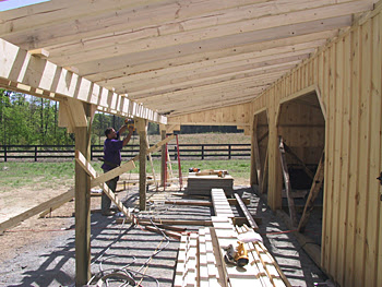 About Lean to Sheds &amp; Barns