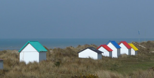 Color along the shore